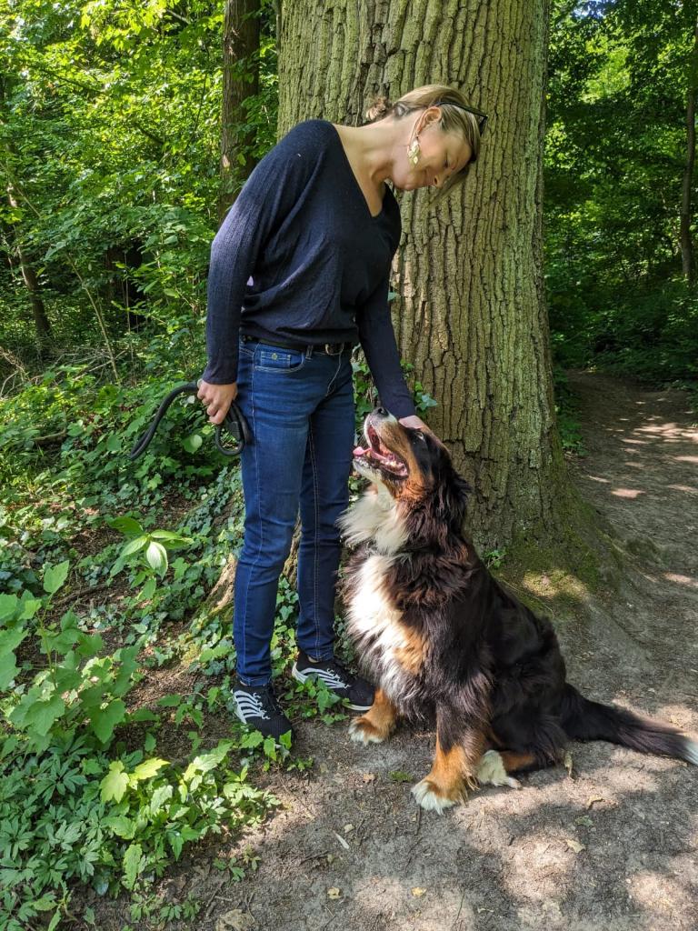 Promenades canines personnalisées et visites à domicile