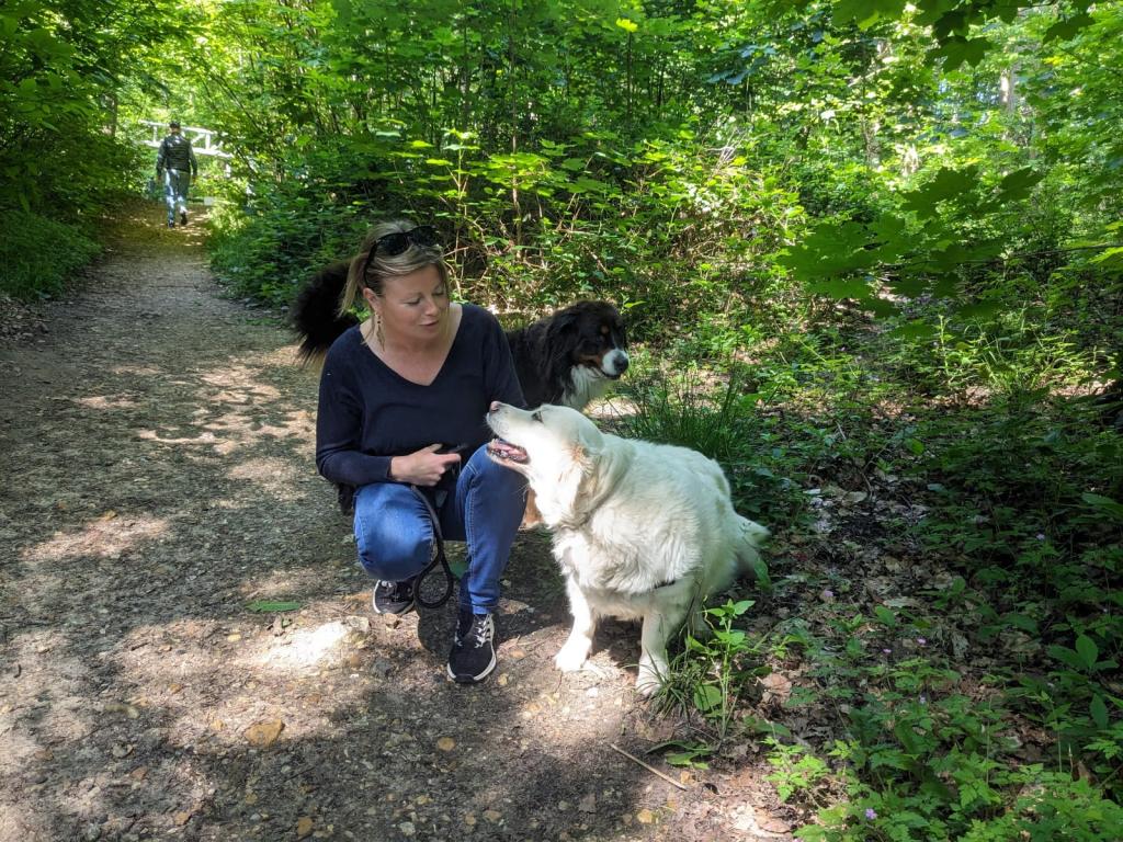 Promenades canines personnalisées et visites à domicile