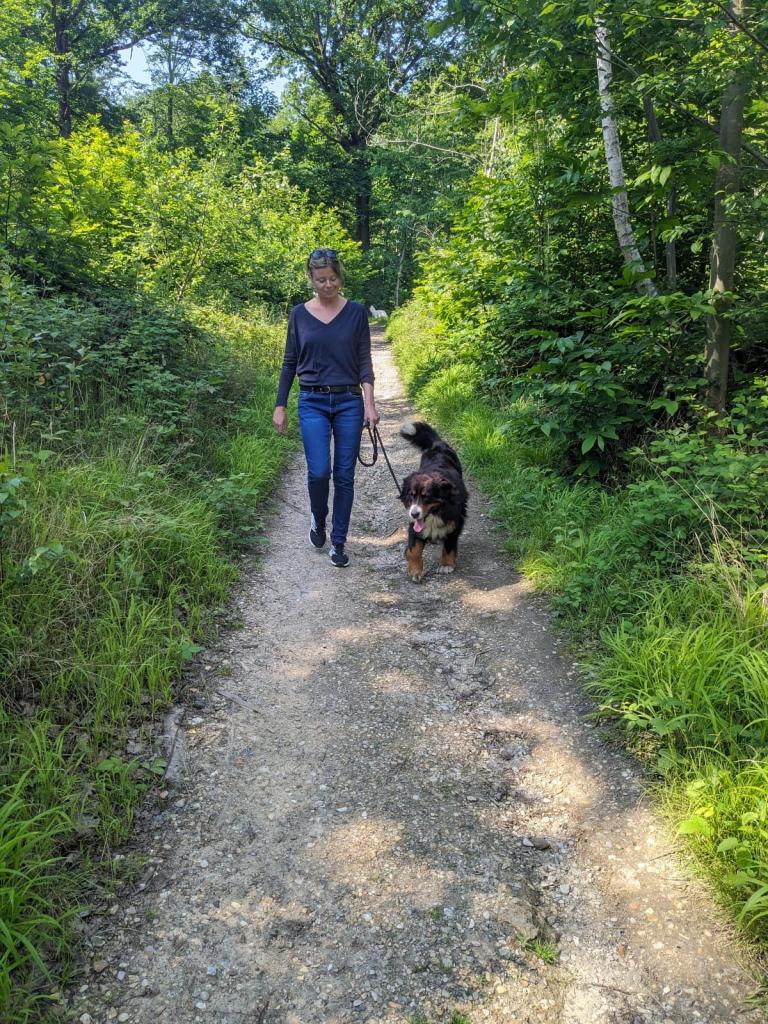 Promenades canines personnalisées et visites à domicile